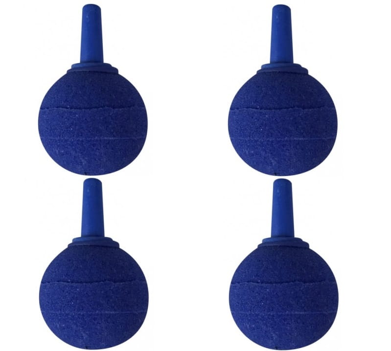 as2 2x2pack b.jpg
